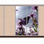 Шкаф-купе Бабочка 88 BMS - Фото 9