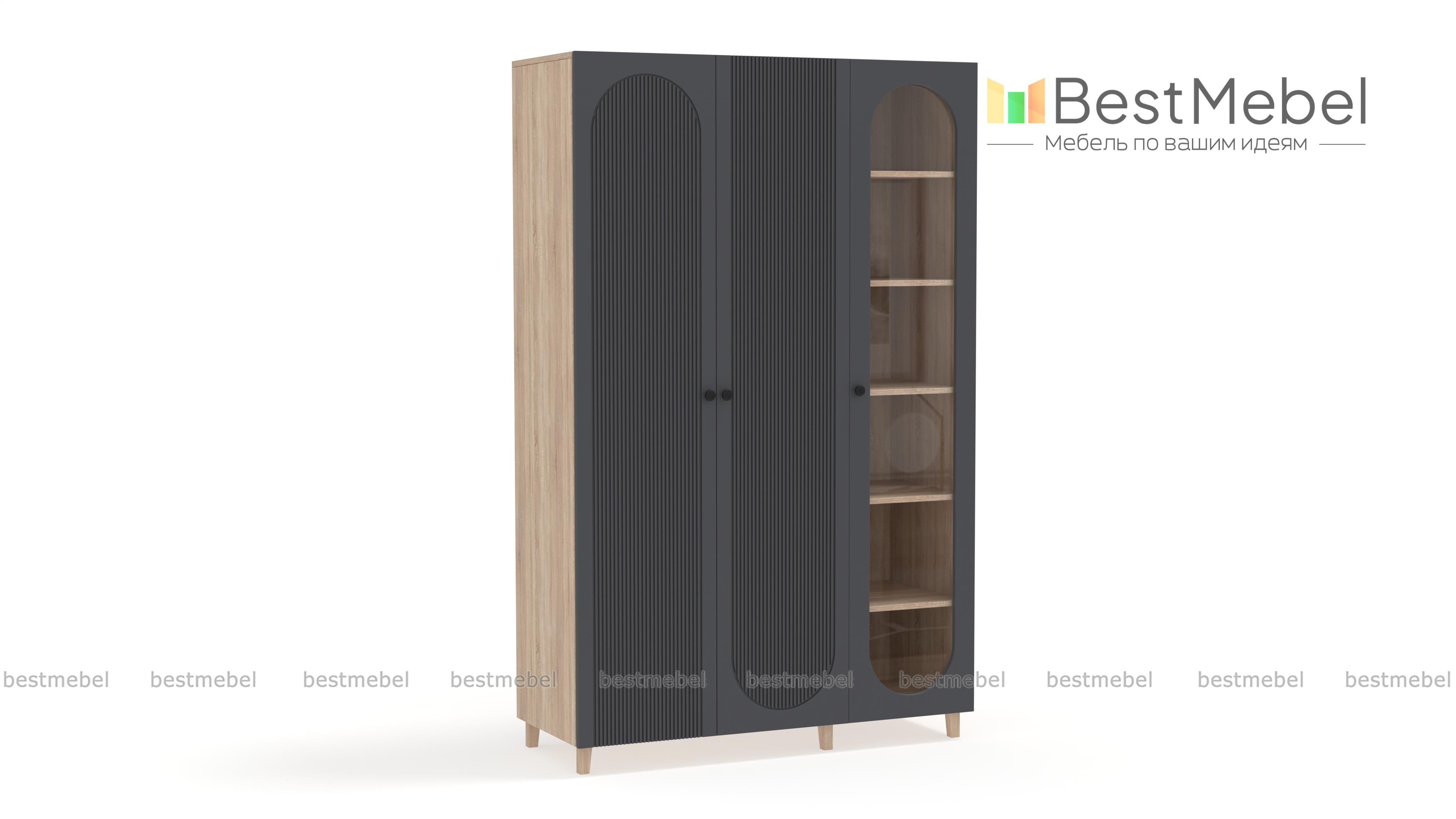 Шкаф распашной Рене 9 BMS - Фото