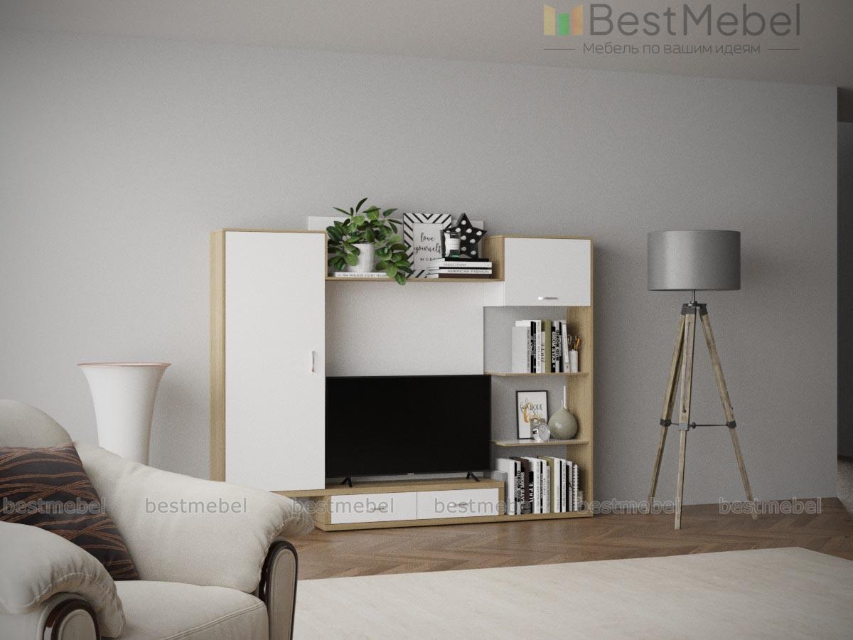 Гостиная Тиса-200 BMS - Фото