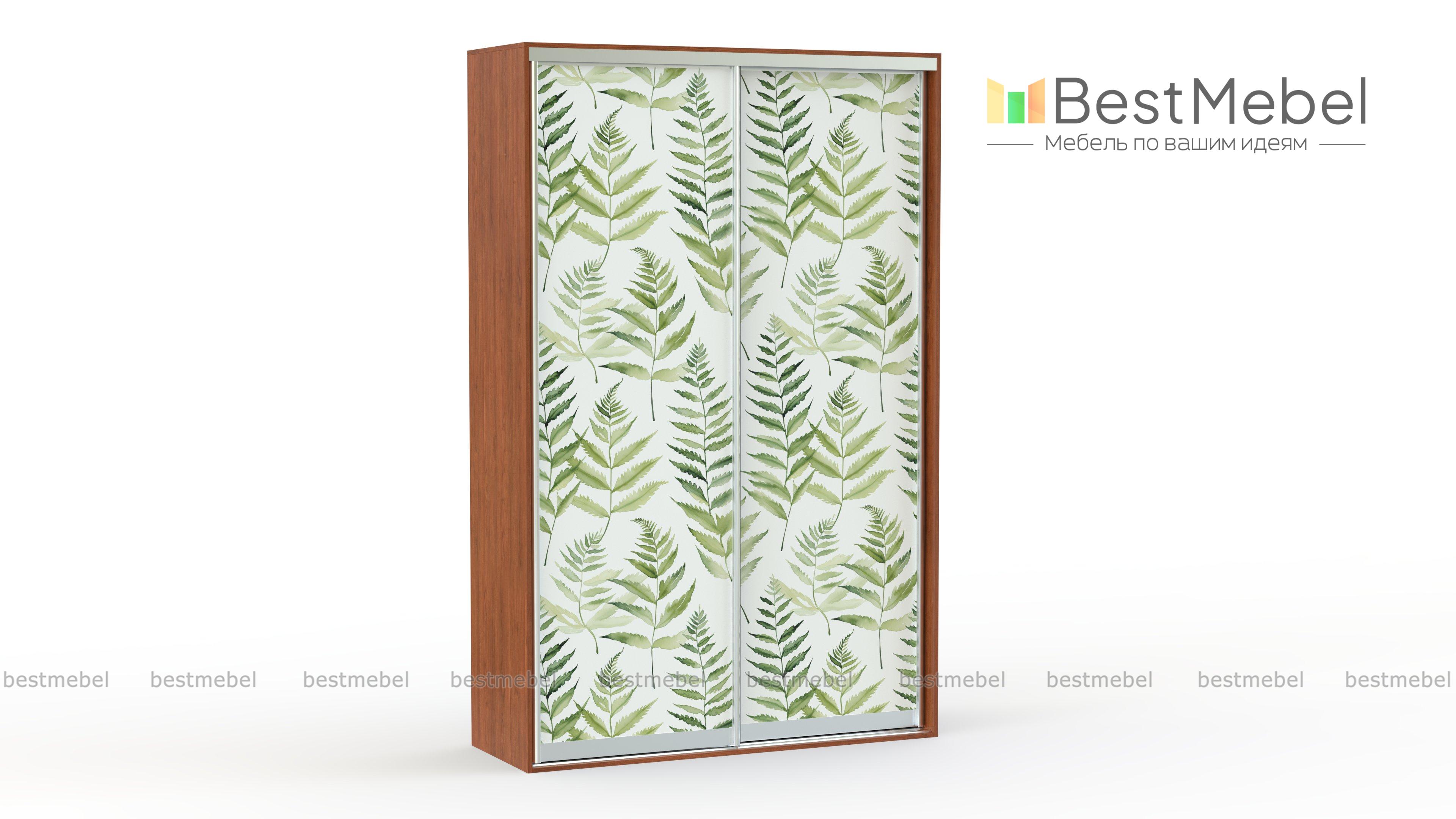 Шкаф-купе Мираж-1047 BMS - Фото