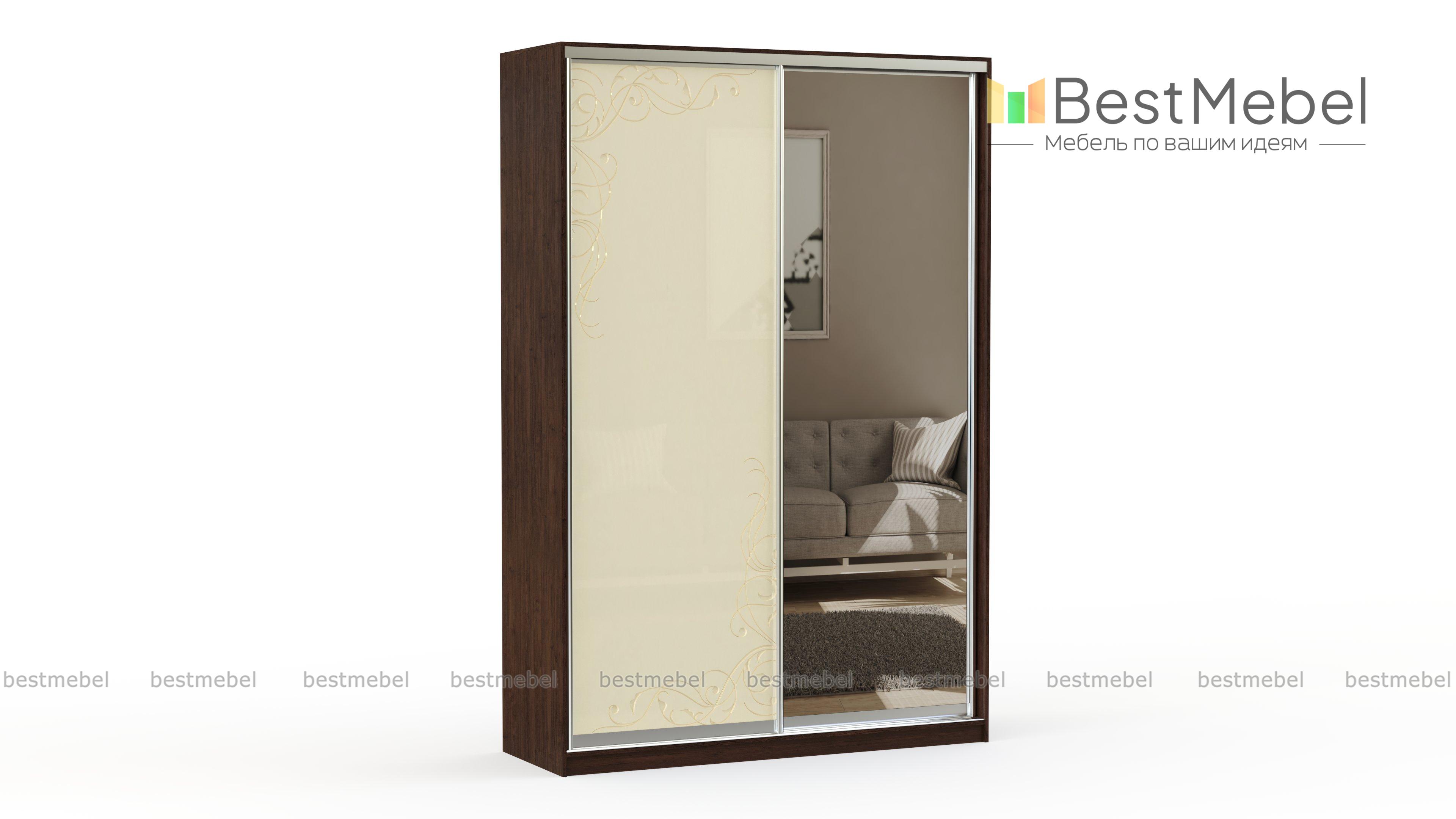 Шкаф-купе Векстра 24.1 BMS - Фото