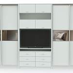 Шкаф-купе Даная 3 BMS - Фото 3