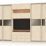 Шкаф-купе Даная 3 BMS - Фото 1