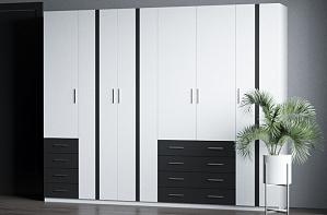 Распашной шкаф Гамма 8 BMS (2300х2100х320)