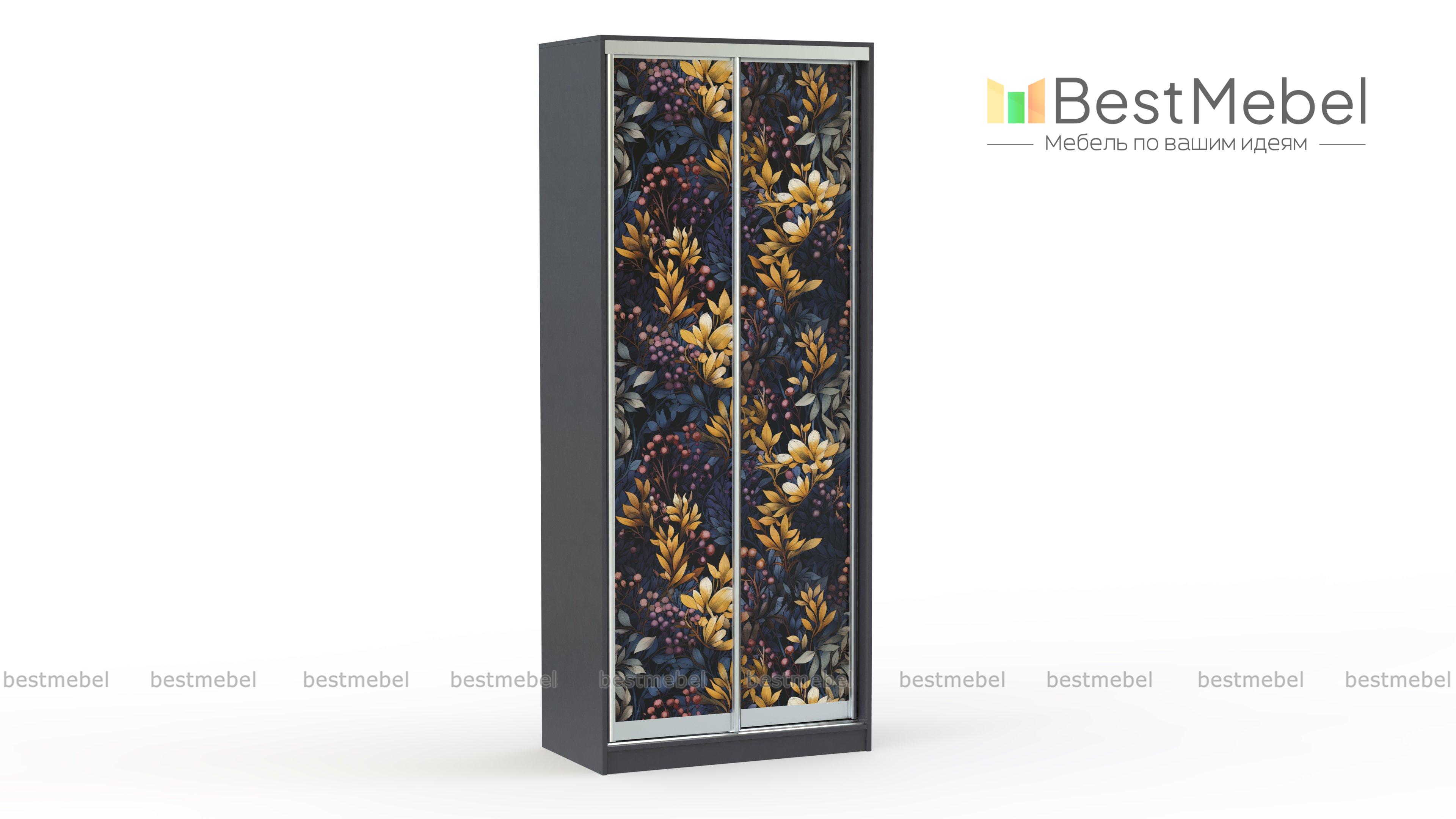 Шкаф-купе Форт 11 BMS - Фото