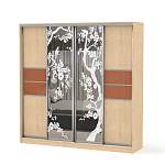 Шкаф-купе Композиция-74 BMS - Фото 10